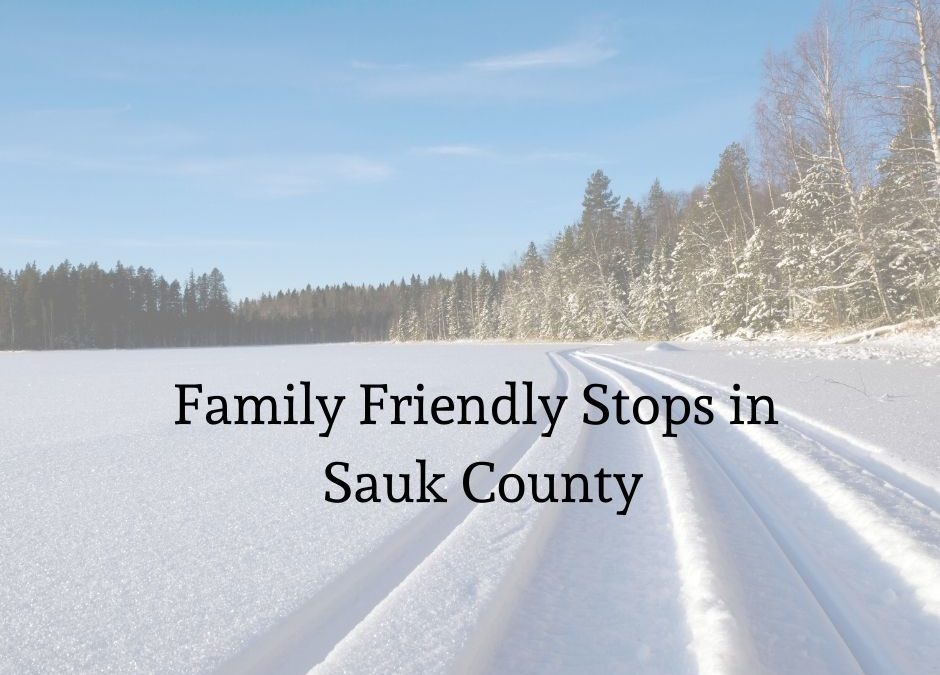 Sauk county Snowmobile day